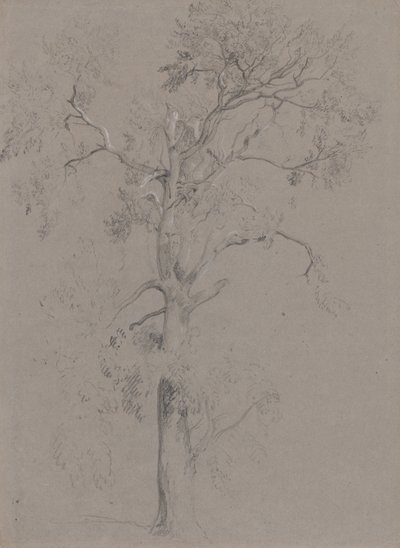 Ash Tree in Ashstead Park by Peter de Wint